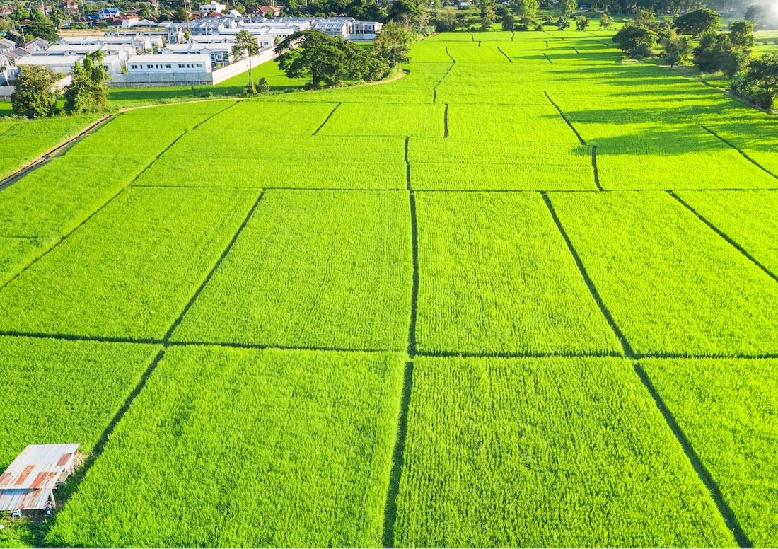 Stedelijk versus landelijk bouwen: welke bouwkavel past bij jou? Foto